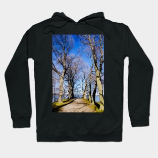 Bay view from Dundurn Castle Hoodie